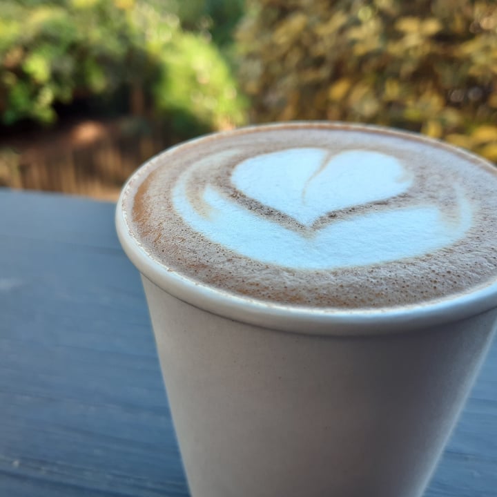 photo of Steampunk Cafe Cappuccino with Almond Milk shared by @lgrobowski on  08 Jun 2020 - review
