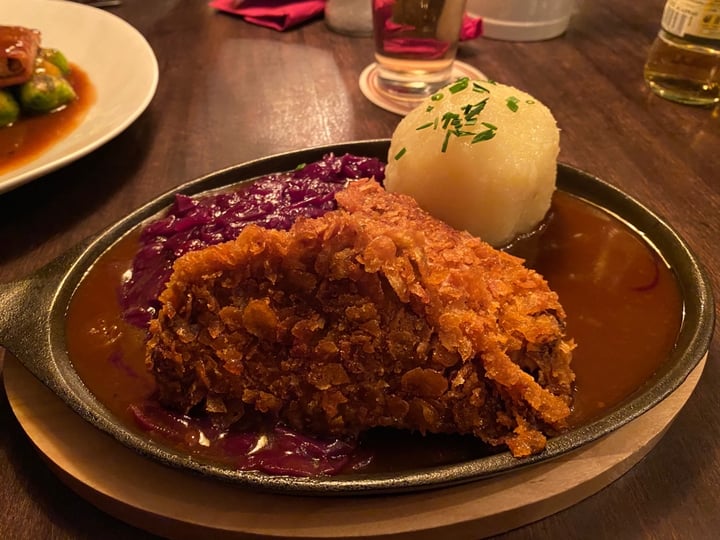 review photo of Bodhi Bodhi Pfanderl shared by @audrey4animals on 05 Apr 2020 - review