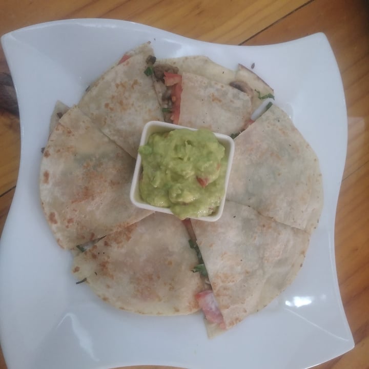 photo of The Plant Based Factory / SANA Quesadillas shared by @alessa182 on  20 Sep 2021 - review
