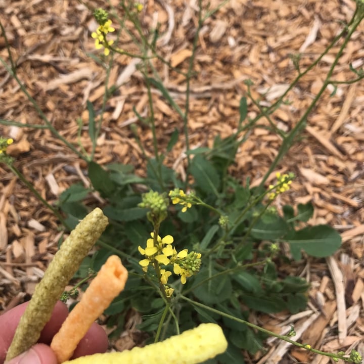 photo of Sensible Portions® Garden Veggie Garden Veggie Straws shared by @boolopez on  15 May 2021 - review