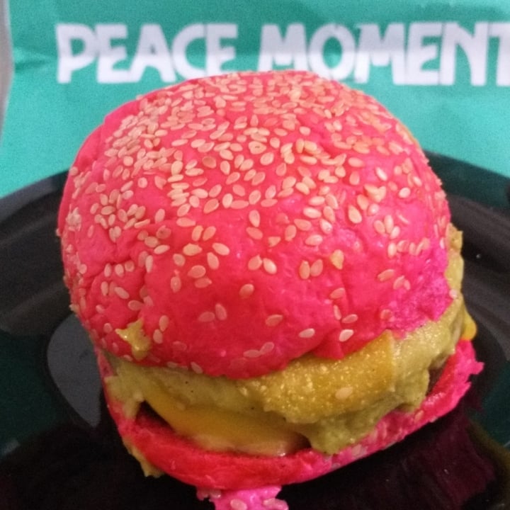 photo of Peace Burger Futuro Peace Burger shared by @renatavictoratti on  15 Jul 2021 - review