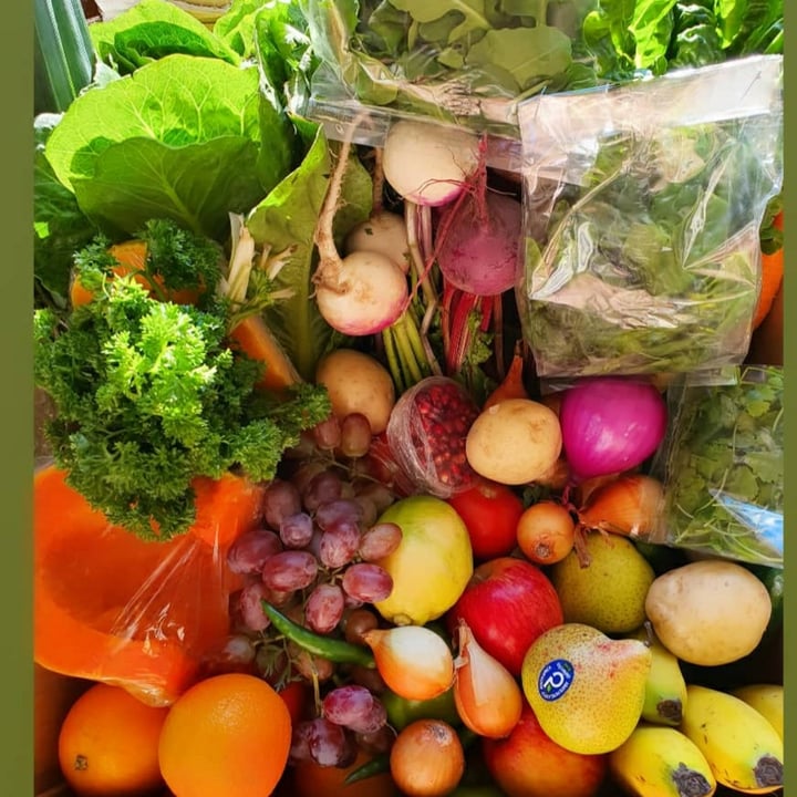 photo of Patel Enterprises Delux Fruit and Vegetable box shared by @rheamorar on  28 Jul 2020 - review