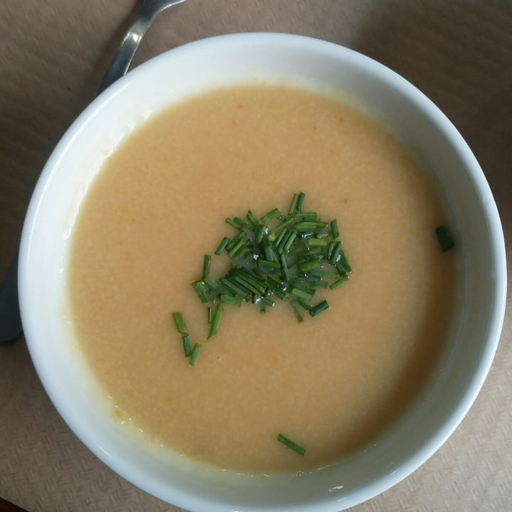 review photo of Bar "Beganbai" Crema de lentejas amarillas con curry shared by @vidalvalmala on 26 Sep 2020 - review