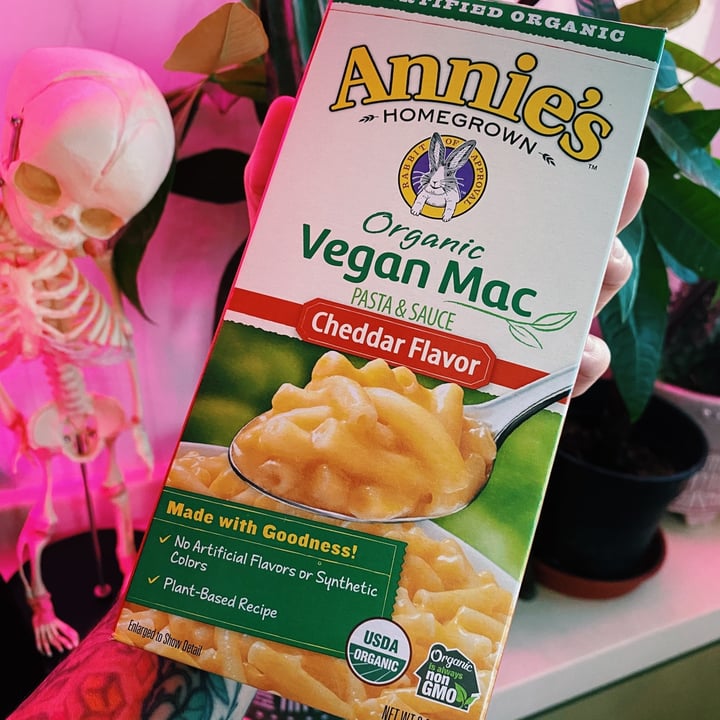 photo of Annie’s Organic Vegan Mac Cheddar Flavor shared by @evilratking on  30 May 2021 - review