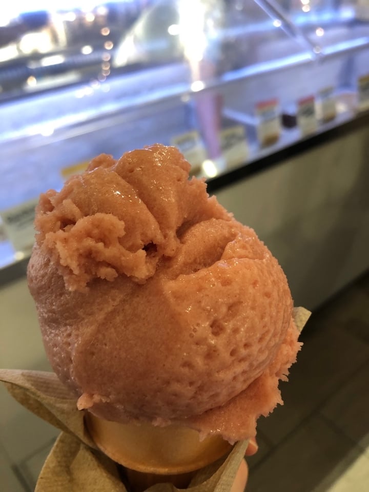 photo of Jeni's Splendid Ice Creams Frosé Sorbet shared by @rebeccaentrekin on  28 Jan 2020 - review