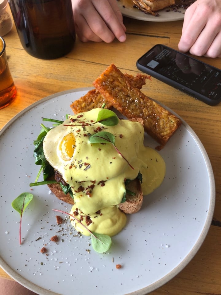 review photo of CRUX Sunny Daise shared by @veggiewings on 13 Mar 2020 - review