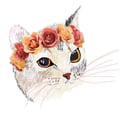 rossellacastle @rossellacastle profile image