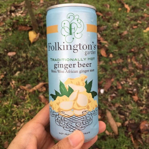 Traditionally hot ginger beer – Folkington's