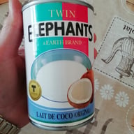 Twin elephants