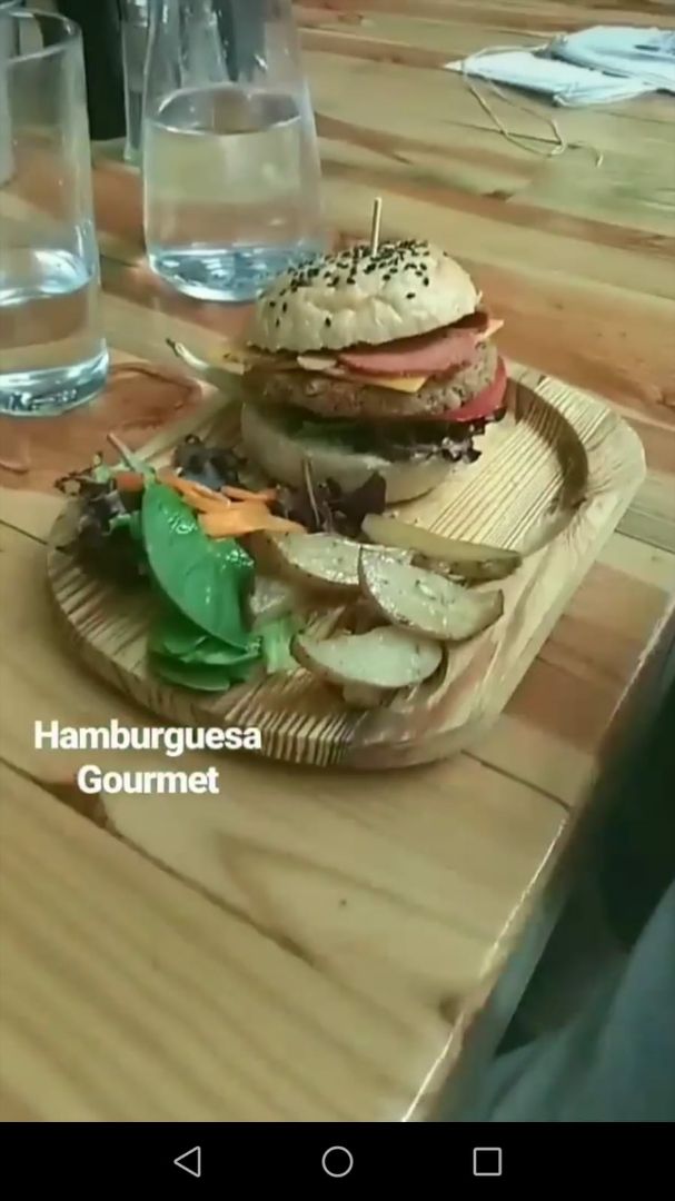 review photo of Veganitessen Hamburguesa Gourmet shared by @4lba on 01 Aug 2019 - review