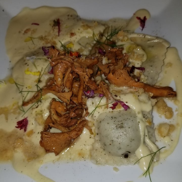 photo of Plant Ravioli shared by @ginapoo on  11 Sep 2021 - review