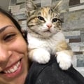 lalagbert @lalagbert profile image