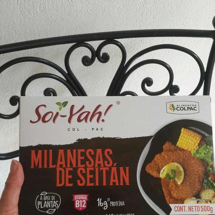 photo of Soi-yah! bistec de seitan shared by @chumis2020 on  18 Apr 2021 - review