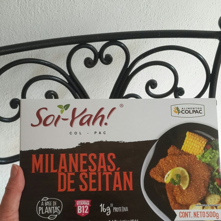 review photo of Soi-yah! bistec de seitan shared by @chumis2020 on 18 Apr 2021 - review