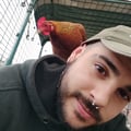 robergk @robergk profile image