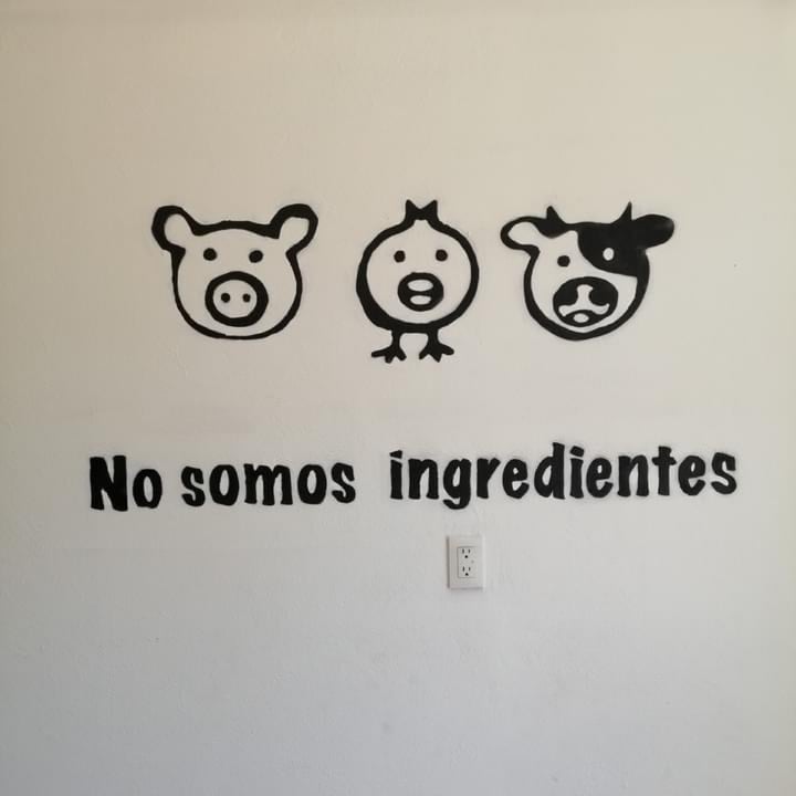 photo of Libres X Siempre - Panadería Vegana Conchas shared by @patitas1080 on  15 Nov 2020 - review