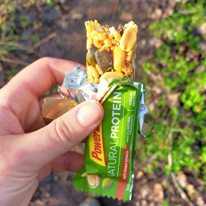 photo of Power bar Natural protein salty peanut crunch shared by @larabeans on  30 Dec 2021 - review