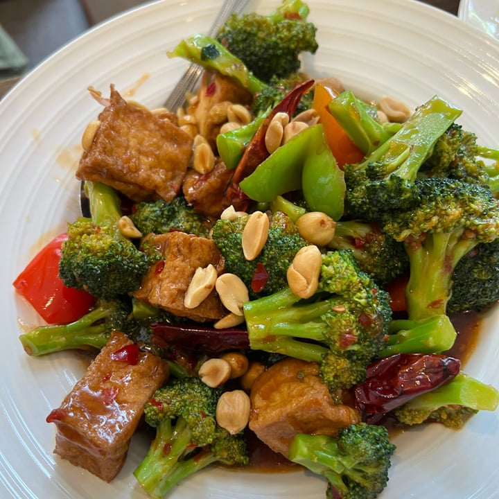 photo of Vegan Deadly Sins Spicy Kung Pao Tofu shared by @orangeash on  01 Aug 2022 - review