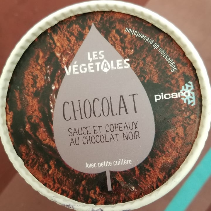 review photo of Picard Glace Chocolat Sauce Chocolat shared by @uncourantdevert on 11 May 2020 - review