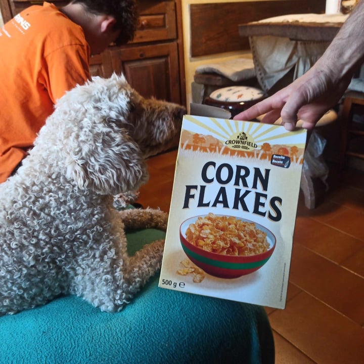 photo of Crownfield Cornflakes shared by @alida342 on  27 Oct 2022 - review