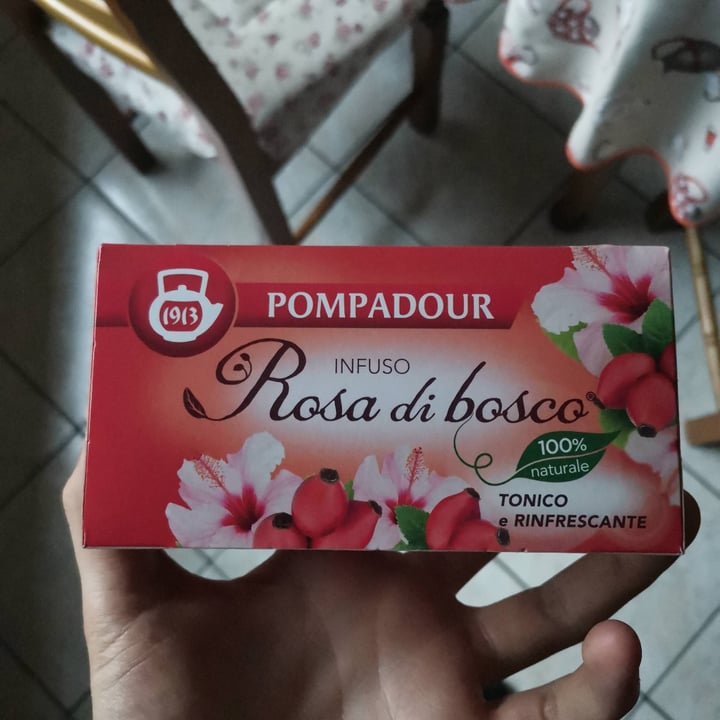 photo of Pompadour Rosa di bosco shared by @tanuki99 on  05 Jun 2021 - review