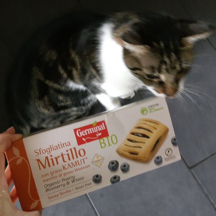 review photo of Germinal Bio Sfogliatina mirtillo kamut shared by @lorella84 on 19 Nov 2022 - review