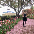 mrose04 @mrose04 profile image