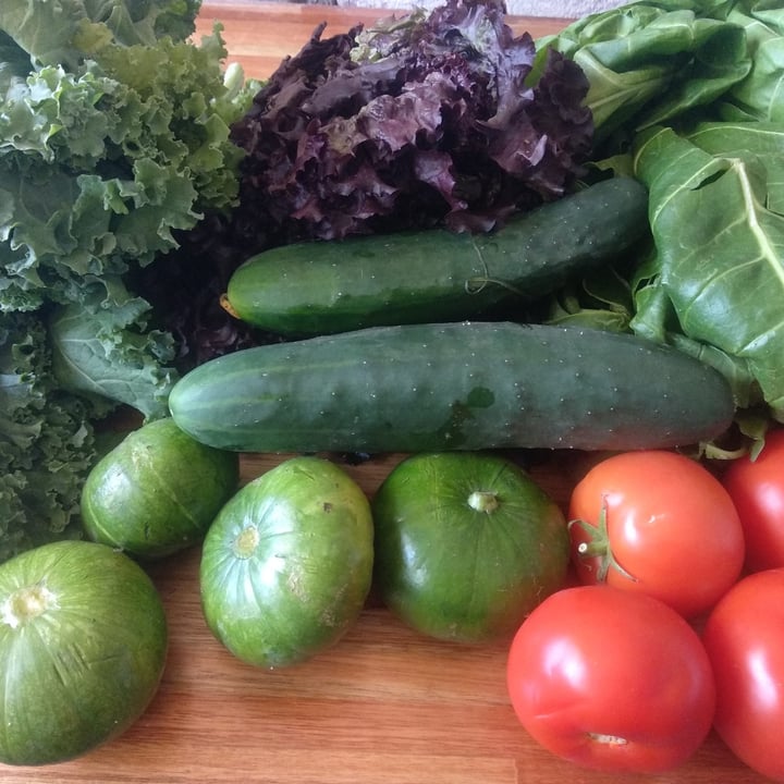 review photo of Orgánica delta Verduras Libre De Tóxicos shared by @mundoveronica on 16 Jan 2021 - review