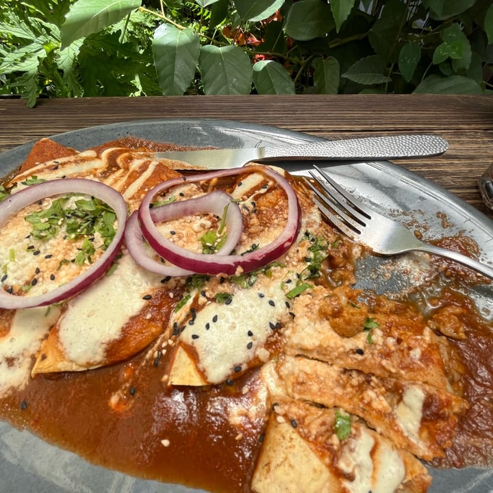 review photo of Veguísima Enchiladas shared by @corisauria on 06 Sep 2022 - review