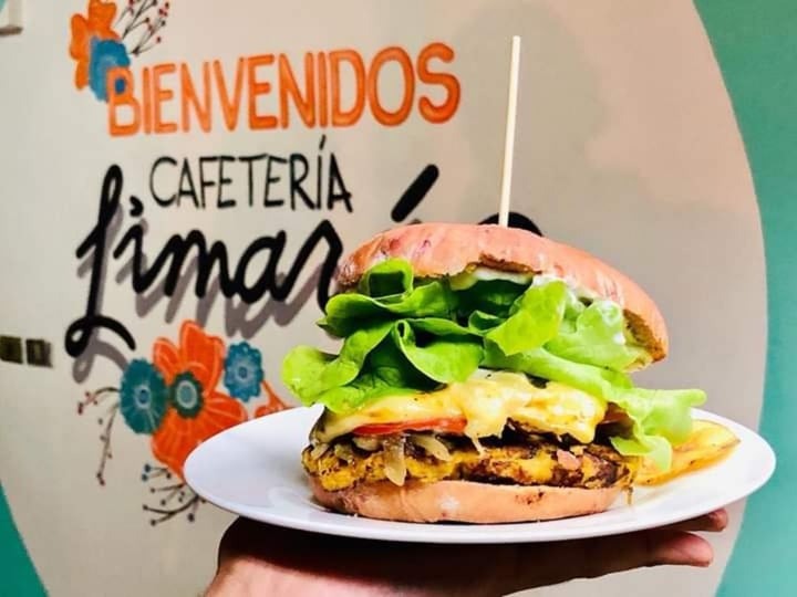 review photo of Cafetería & Mercadito Limarí Sanguchito Punitaqui Con Proteína Vegetal ( Falafel ) shared by @nfernandagodoy on 28 Jan 2020 - review