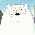 marc- @marc- profile image