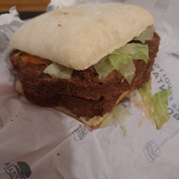 photo of Mostaza Vegan notburger LTC + papas regulares y medallón extra. shared by @pablonico on  19 Sep 2021 - review