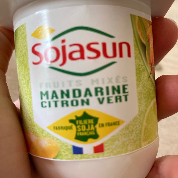 photo of Sojasun Yaourt Mandarine Citron Vert shared by @sirfalopio on  28 Apr 2021 - review