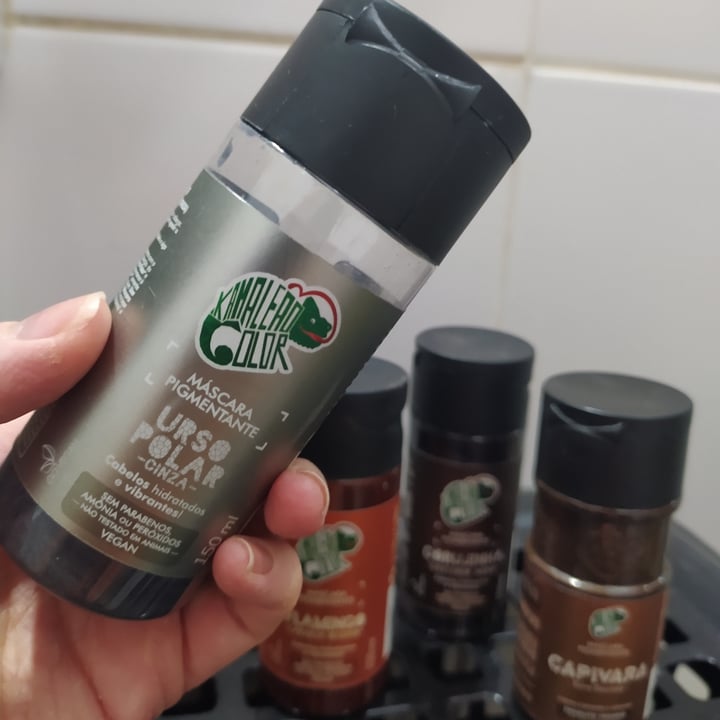 review photo of Kamaleão Color MÁSCARA PIGMENTANTE shared by @crisbenetton on 26 Apr 2022 - review