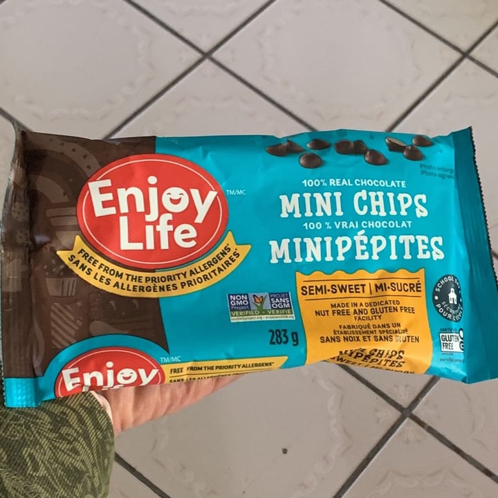 photo of Enjoy Life Mini Chocolate Chips shared by @nbacha on  20 May 2022 - review