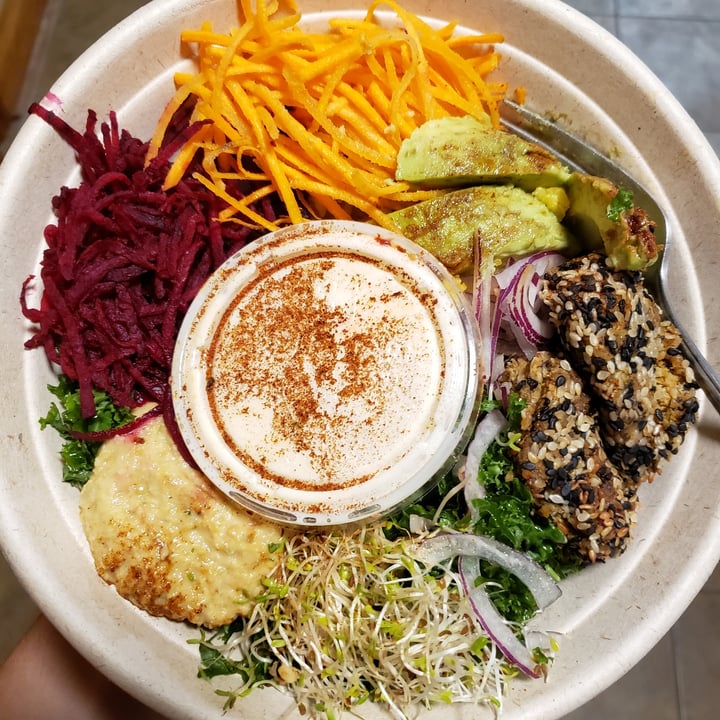 photo of Healthy Rabbit Seeker Bowl shared by @tbrown on  05 Oct 2021 - review