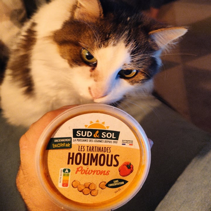 photo of Sud 'n' sol houmous au poivron shared by @juju81 on  20 Nov 2022 - review