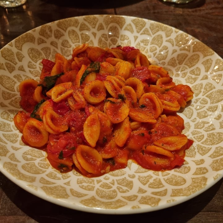 review photo of Amarone ORECCHIETTE CON PACHINO FRESCO shared by @jazzyk on 04 Nov 2022 - review