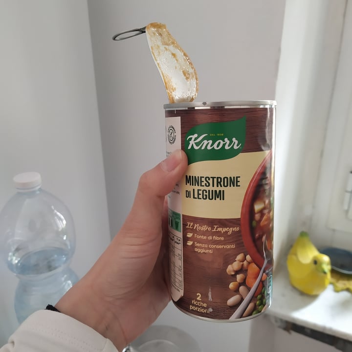 photo of Knorr Minestrone di legumi shared by @chiaraingrafica on  10 Apr 2022 - review