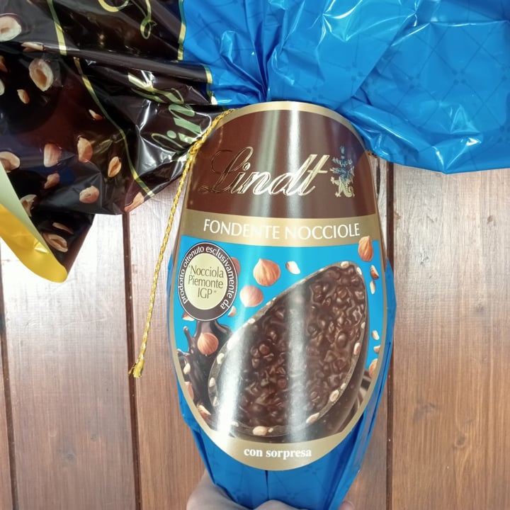 photo of Lindt Uovo fondente e nocciole shared by @raffuz on  15 Apr 2022 - review
