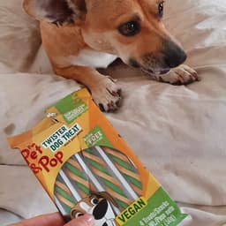Fun pet & pop