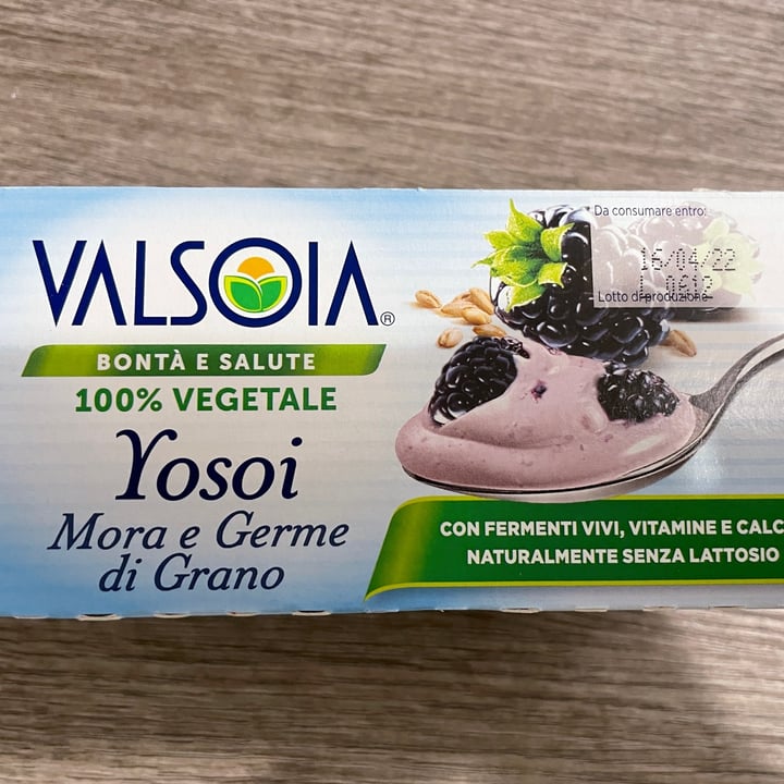 photo of Valsoia Yogurt Mora e Germe di Grano shared by @fabihoshi on  02 Apr 2022 - review
