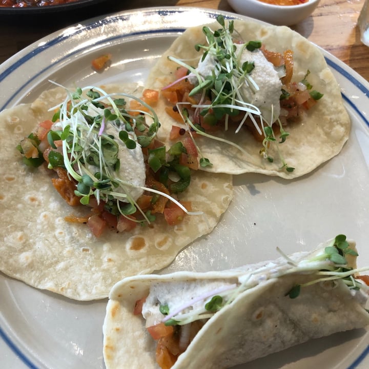 photo of Enso Cafe Pulled jackfruit tacos with cashew cheese shared by @janscaz on  09 Jun 2021 - review