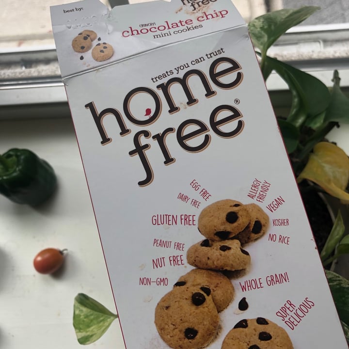 photo of home free Chocolate chip cookies shared by @izzyannie44 on  14 Sep 2021 - review