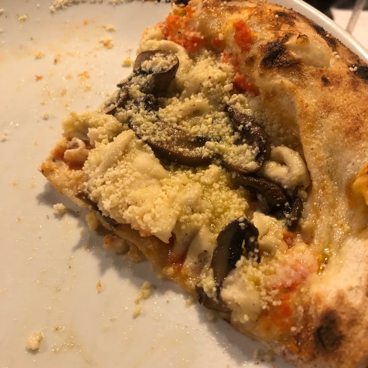 photo of Galpão da Pizza Pizza funghi shared by @marianamarinho on  23 Apr 2022 - review