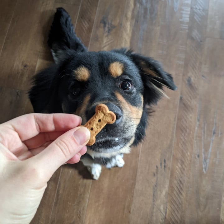 photo of Trader Joe's Grain Free Dog Treats with Peanut Butter & Banana shared by @wayfaringlass on  20 Oct 2022 - review