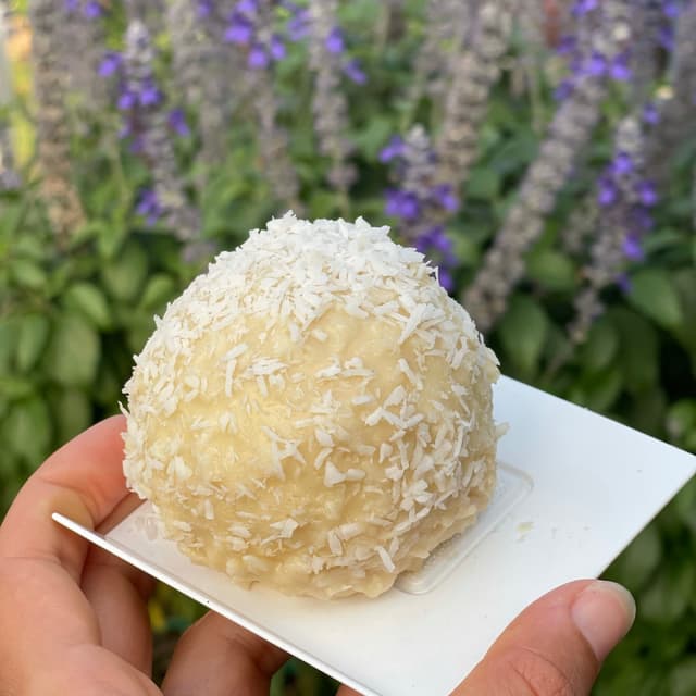 Foto del piatto “Raffaello”