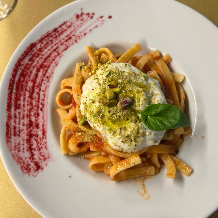 review photo of Selezione Naturale Scialatielli Con Pomodoro E Stracchino Veg shared by @aries24 on 06 Dec 2022 - review