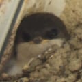 mononoke72 @mononoke72 profile image