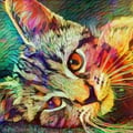 carlajc @carlajc profile image